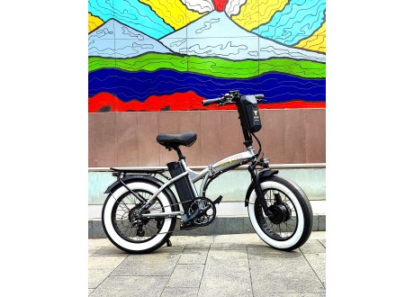 Bicicletta Elettrica pieghevole 2X -Doppio Motore